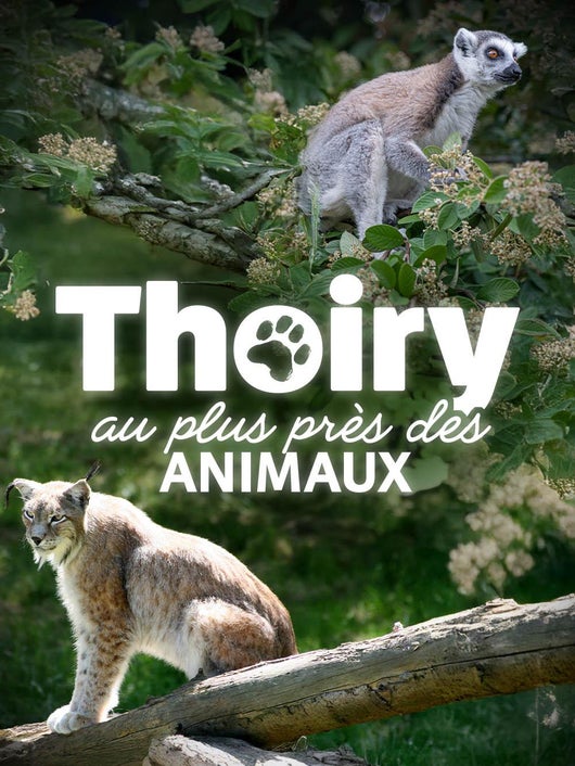 Thoiry : au plus près des animaux