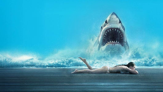 Shark Warning