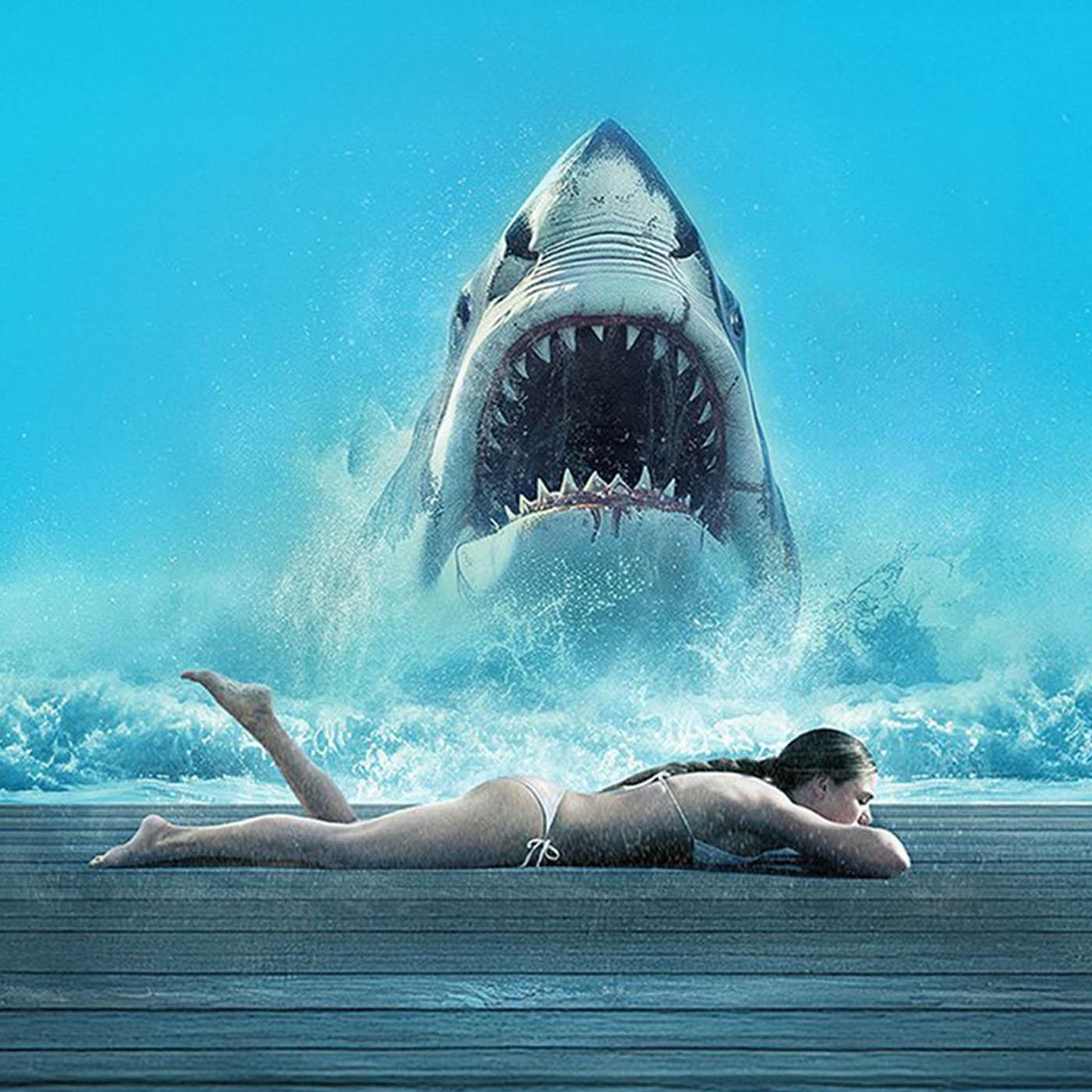 Shark Warning