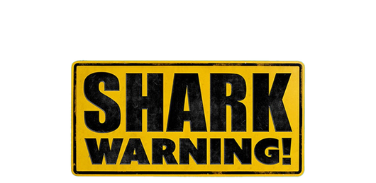 Shark Warning