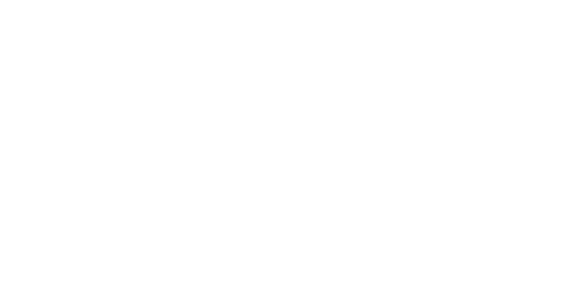 Le génie francais