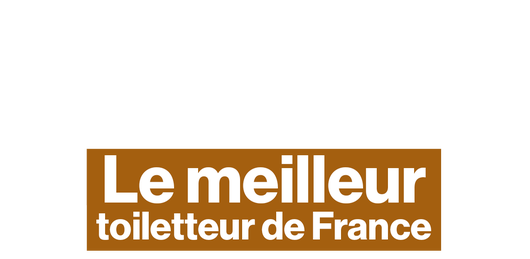 Qui sera le meilleur toiletteur ?