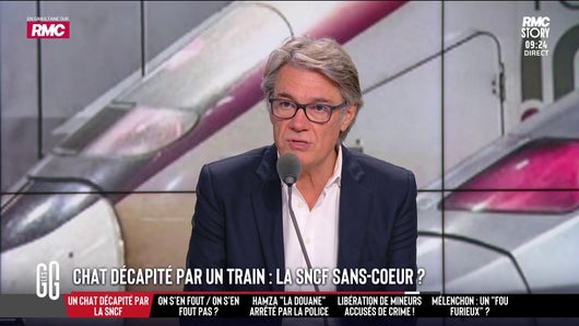 Gare de Lyon : son chat s’échappe sous un train. Le TGV démarre quand même et le décapite. La SNCF sans cœur ?