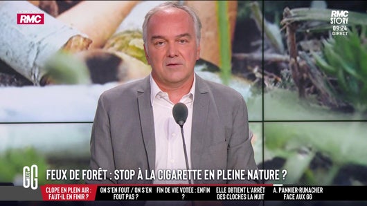 Feux de forêt : stop à la clope en pleine nature ?
