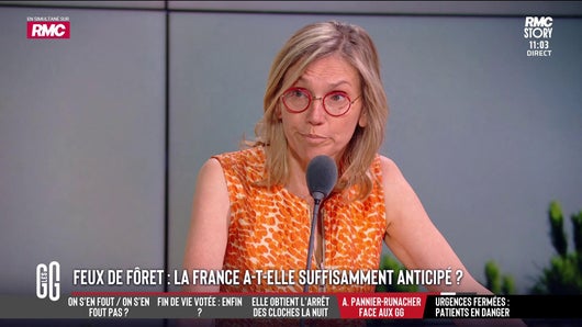 Lutte contre les feux de forêt : La France a-t-elle suffisamment anticipé ? 