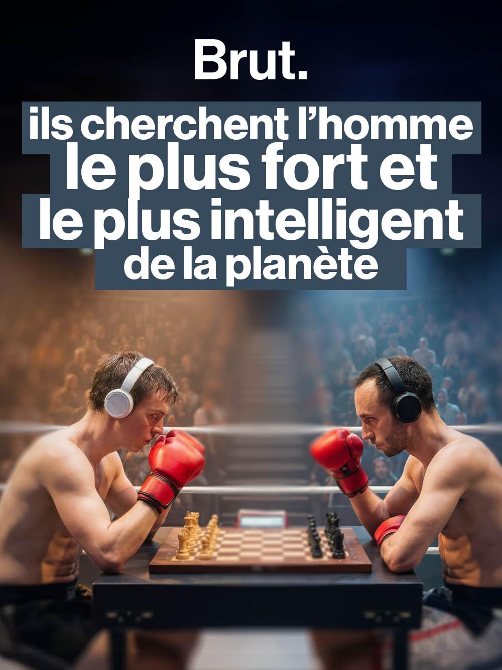 Ils cherchent l'homme le plus fort et le plus intelligent de la planète