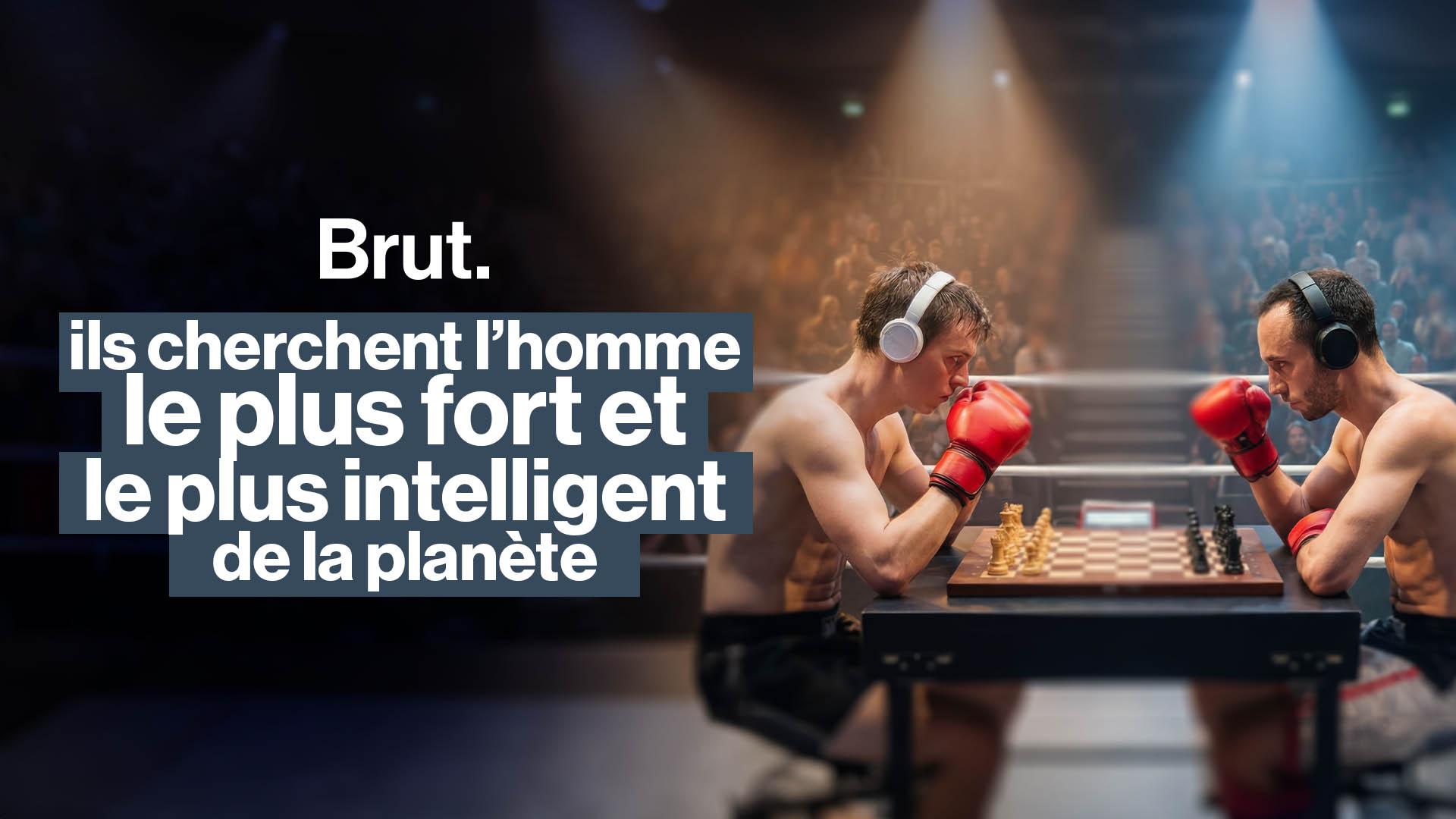 Ils cherchent l'homme le plus fort et le plus intelligent de la planète