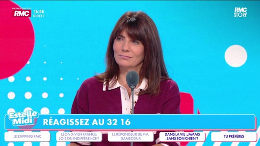 Marché, bureau, plages : faut-il autoriser les chiens partout ?