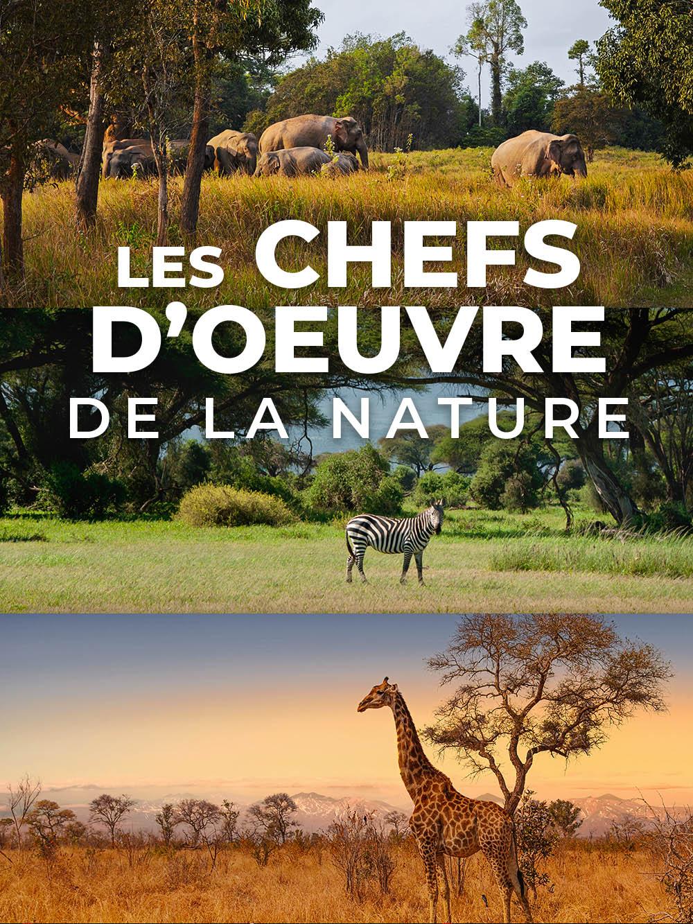 Les chefs d'oeuvre de la nature