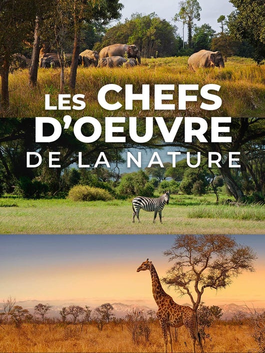 Les chefs d'oeuvre de la nature