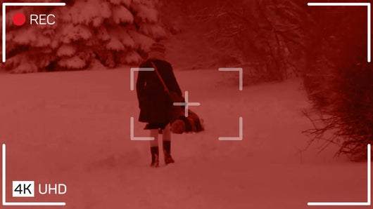 Du sang sur la neige 