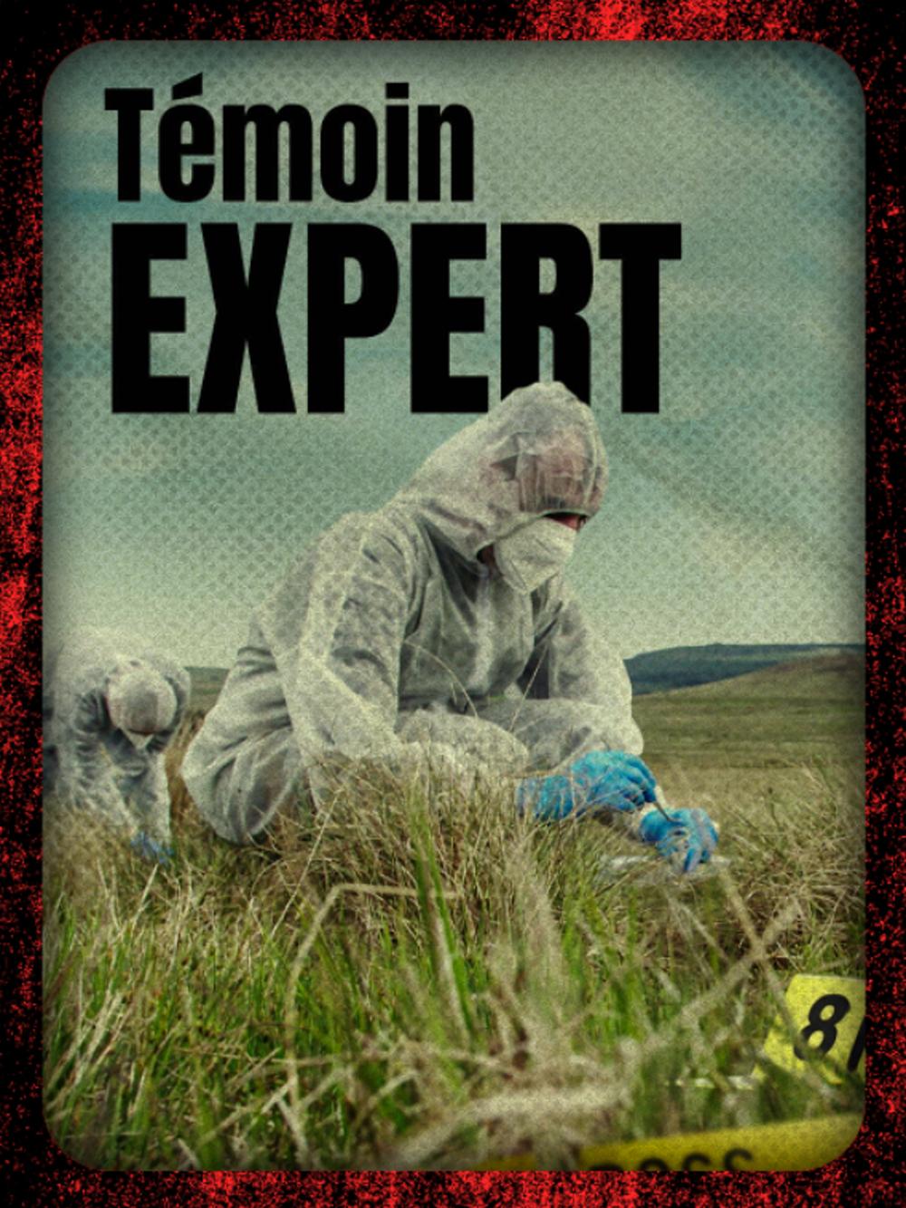 Témoin expert
