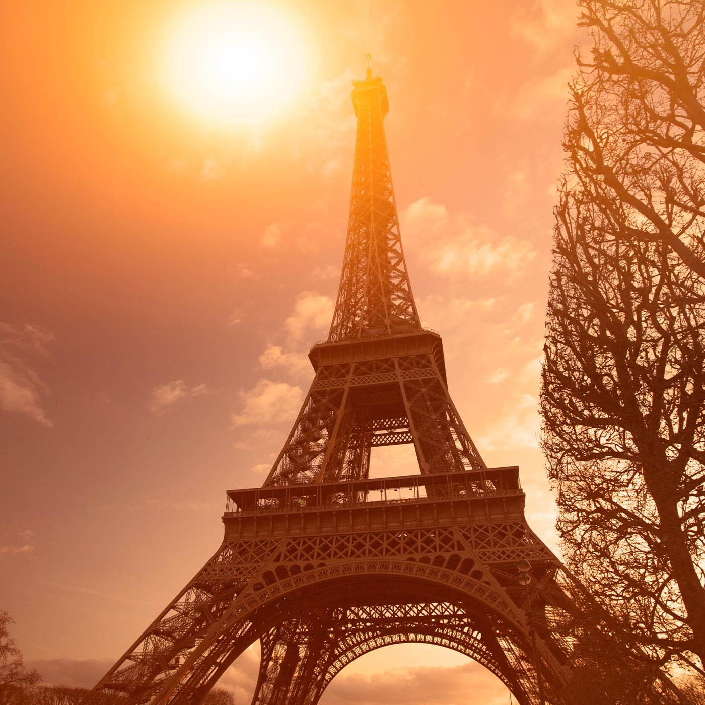 Canicule record : la France au point de rupture