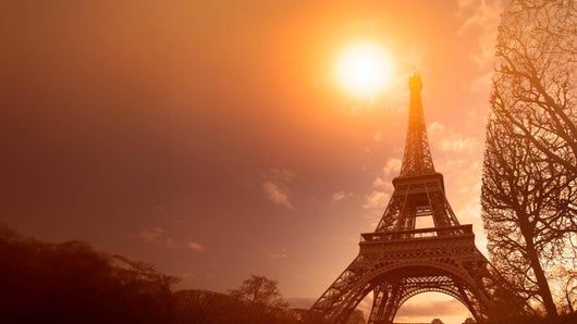 Canicule record : la France au point de rupture