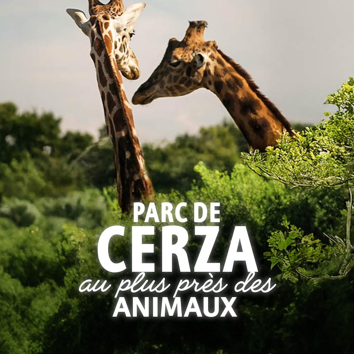 Parc de Cerza, au plus près des animaux