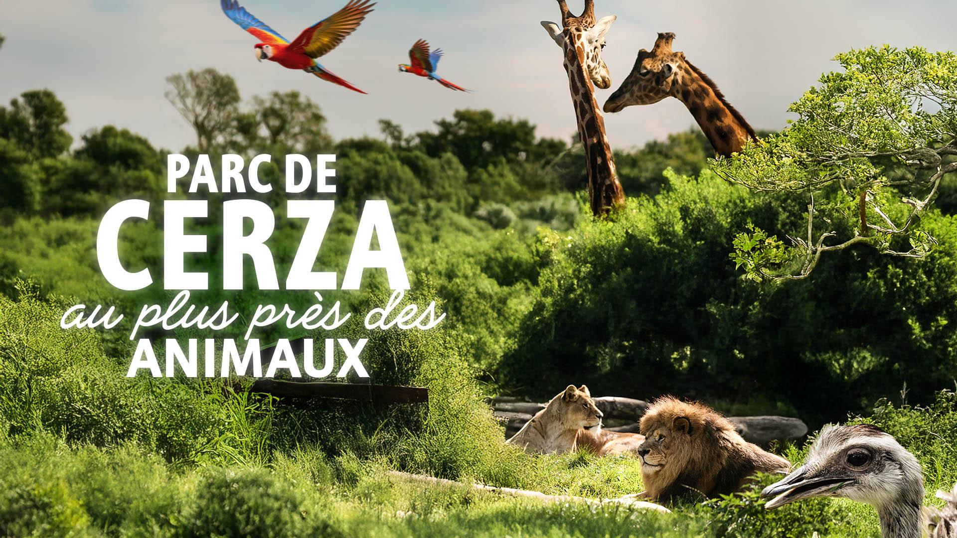 Parc de Cerza, au plus près des animaux