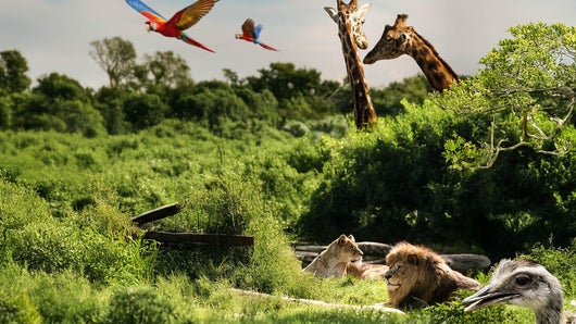 Parc de Cerza, au plus près des animaux