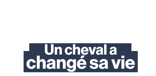 "Je ne regardais jamais les gens dans les yeux", la vie de ces enfants a changé grâce aux chevaux.