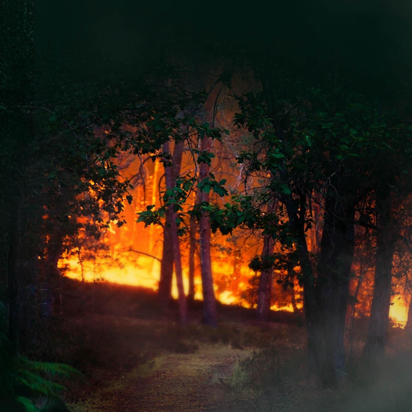 Incendie: la bataille de Fontainebleau