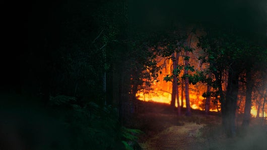 Incendie: la bataille de Fontainebleau