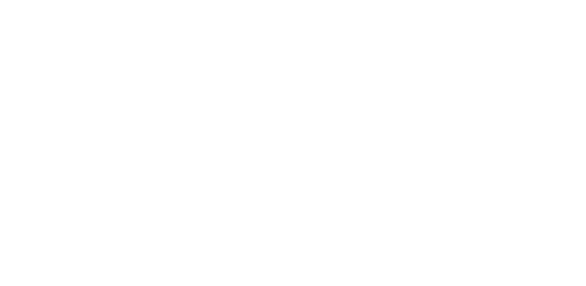 Speed datting