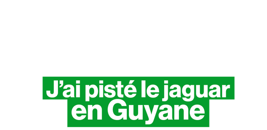 J’ai pisté le jaguar en Guyane… (et rien ne s'est passé comme prévu)