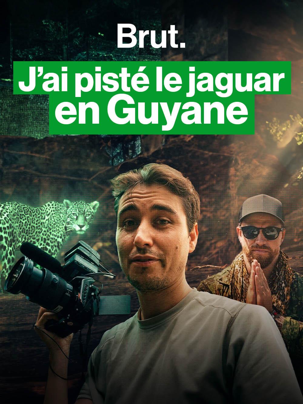 J’ai pisté le jaguar en Guyane… (et rien ne s'est passé comme prévu)