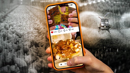 Poulet krousty, pistache, ube… comment ces tendances transforment le monde ?