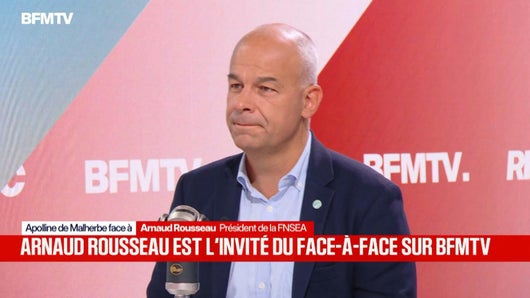 Arnaud Rousseau face à Apolline de Malherbe