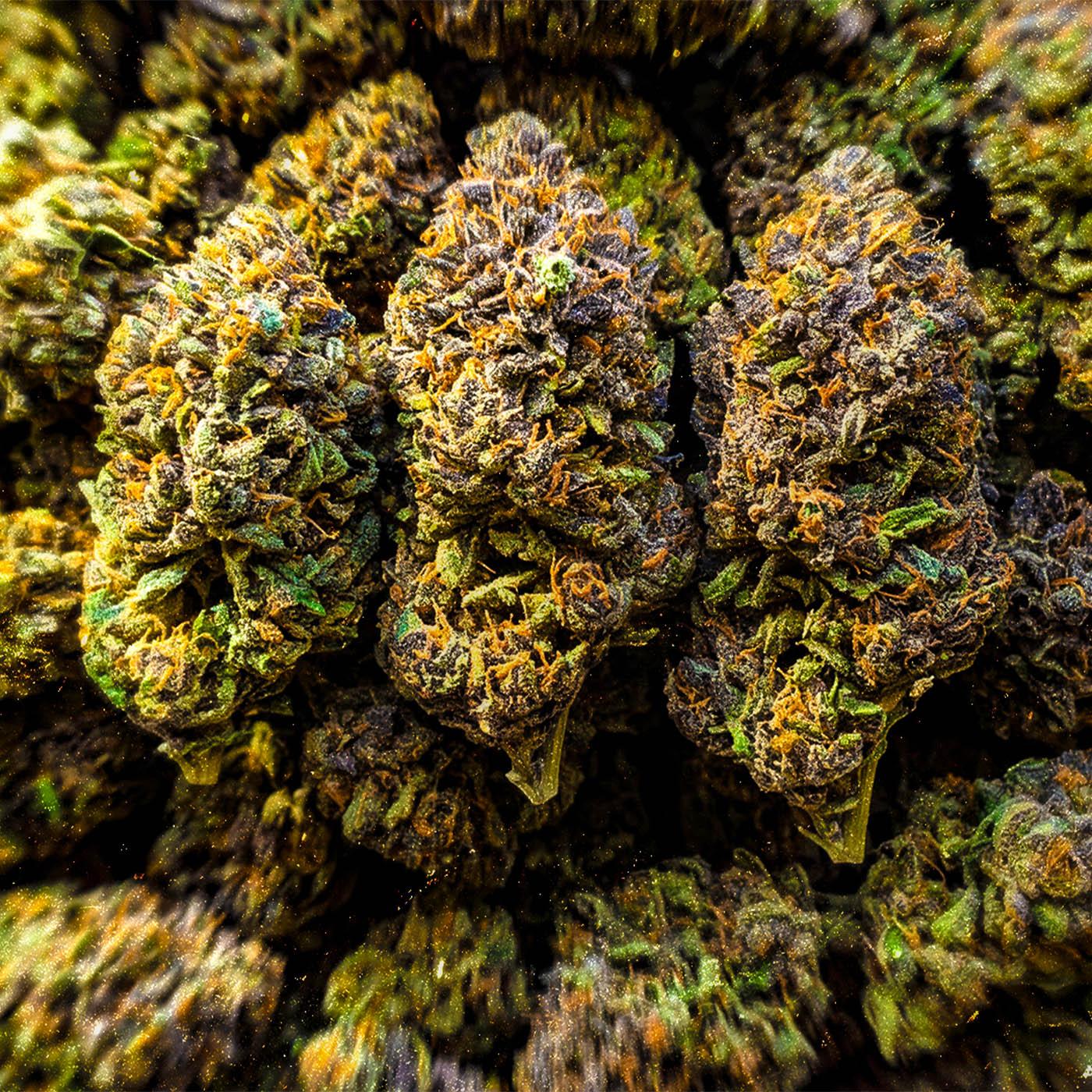 Pourquoi des fumeurs de CBD se sentent "devenir accro" ?