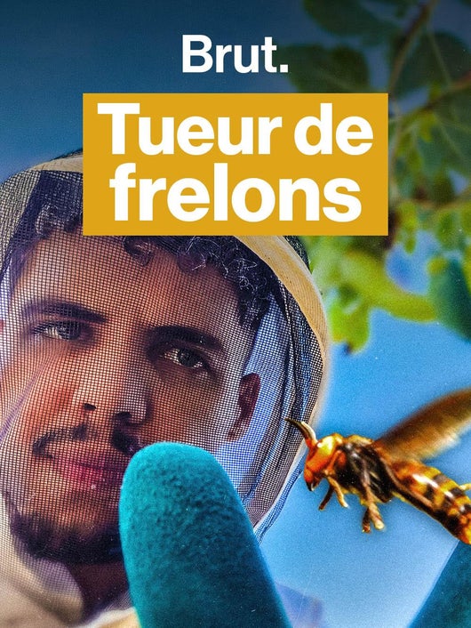 Le pire cauchemar des frelons