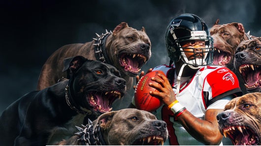Michael Vick : star du football américain en prison pour des combats de chiens
