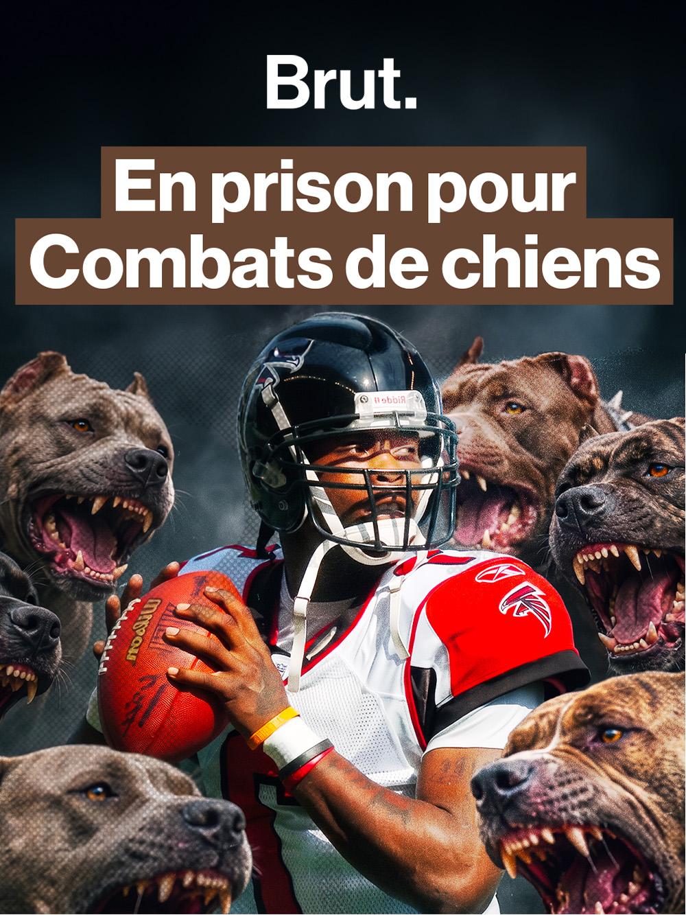 Michael Vick : star du football américain en prison pour des combats de chiens