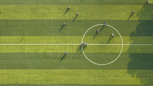 Brut. fc