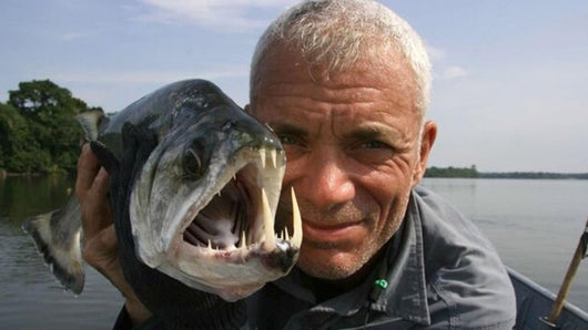 Poisson démon