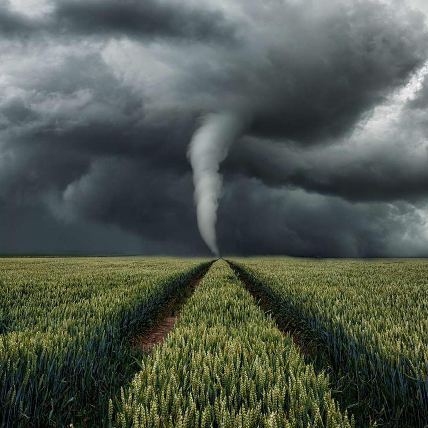 La science des forces de la nature