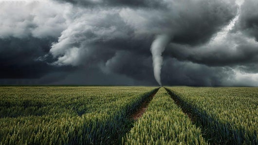 La science des forces de la nature