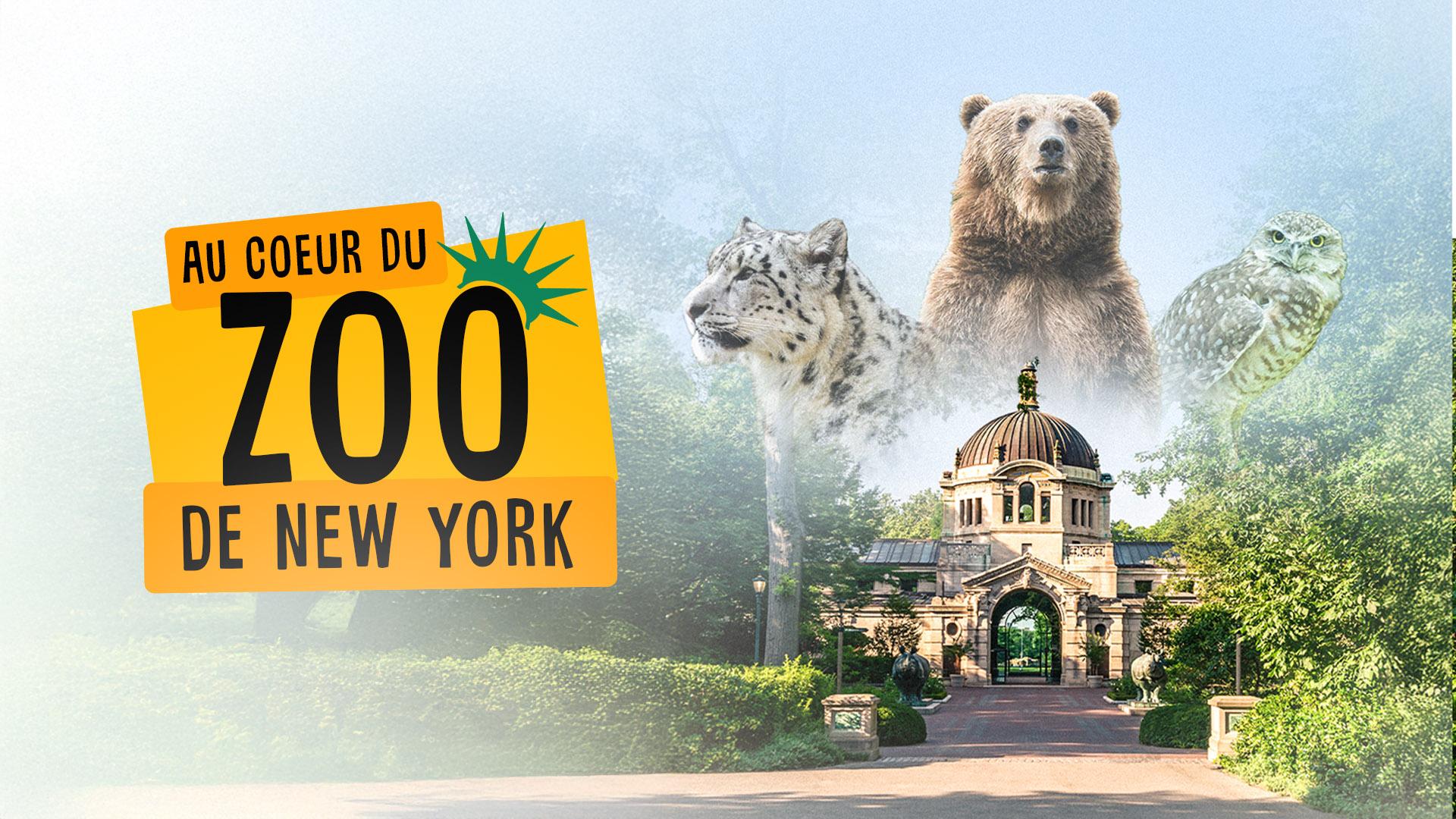 Au cœur du zoo de New York