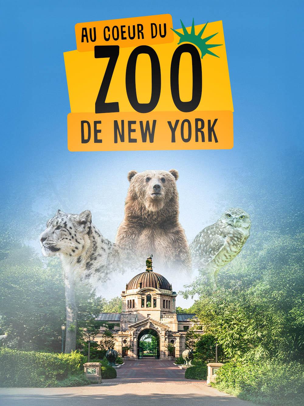 Au cœur du zoo de New York
