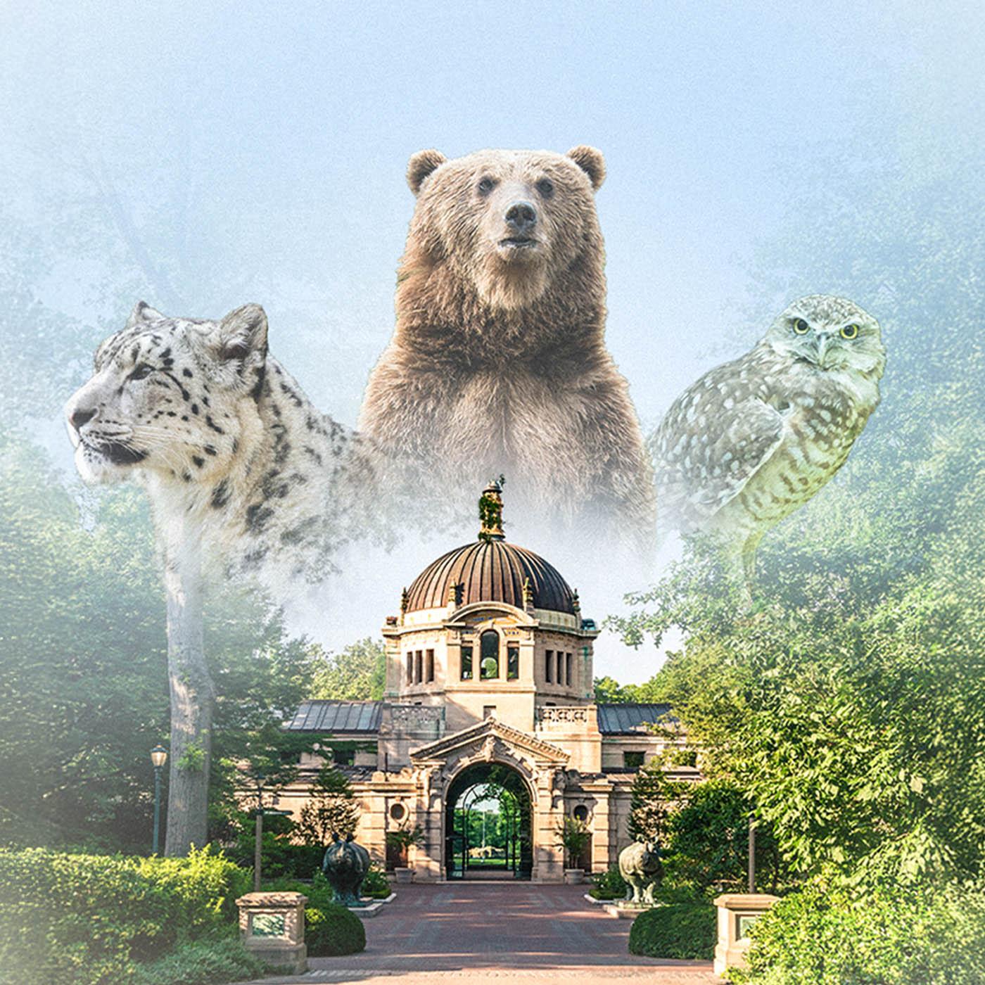 Au cœur du zoo de New York