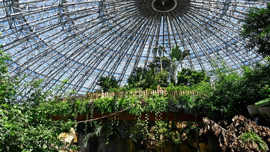 Zooparc de Beauval : au coeur de la machine