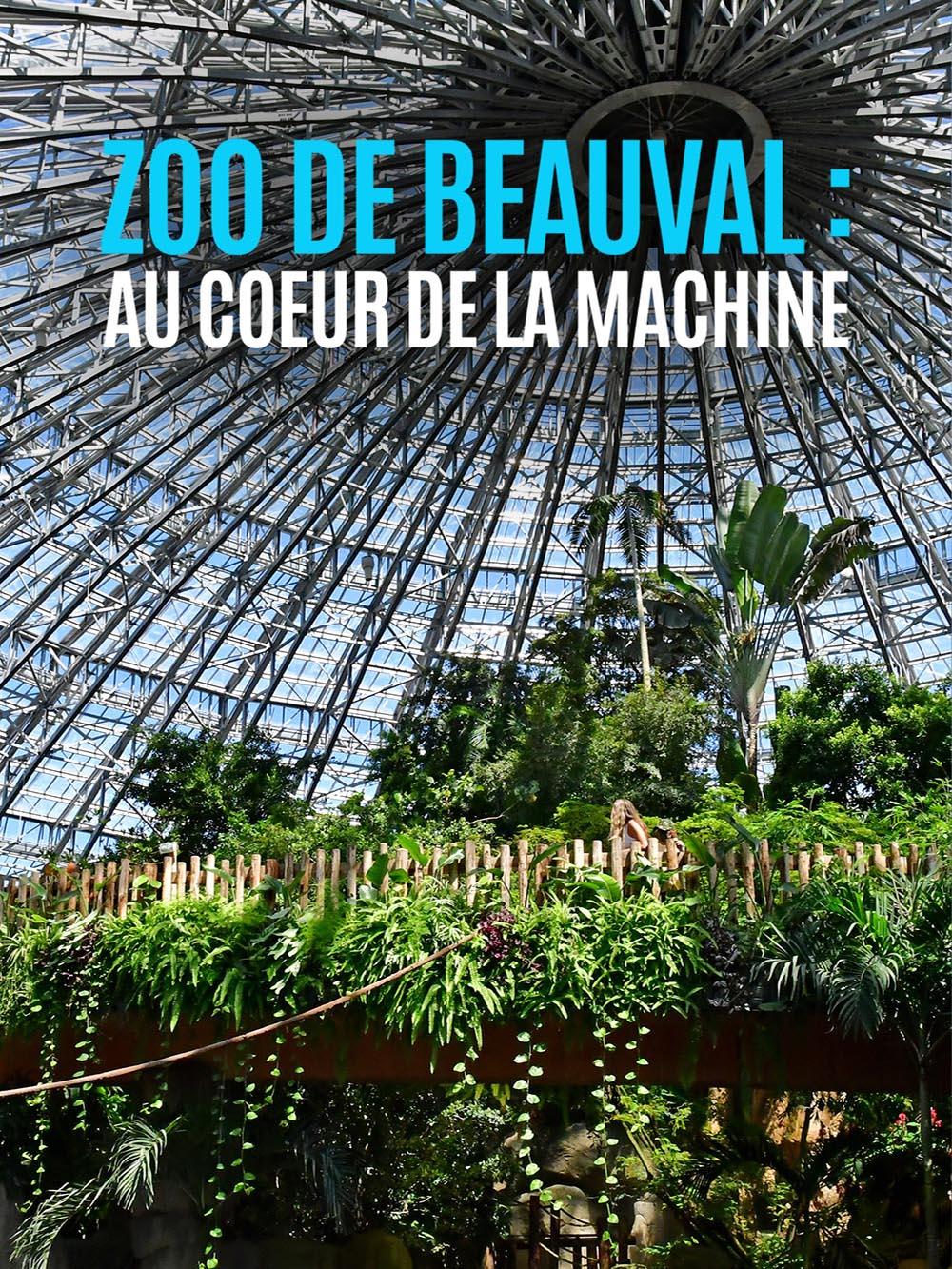 Zooparc de Beauval : au coeur de la machine