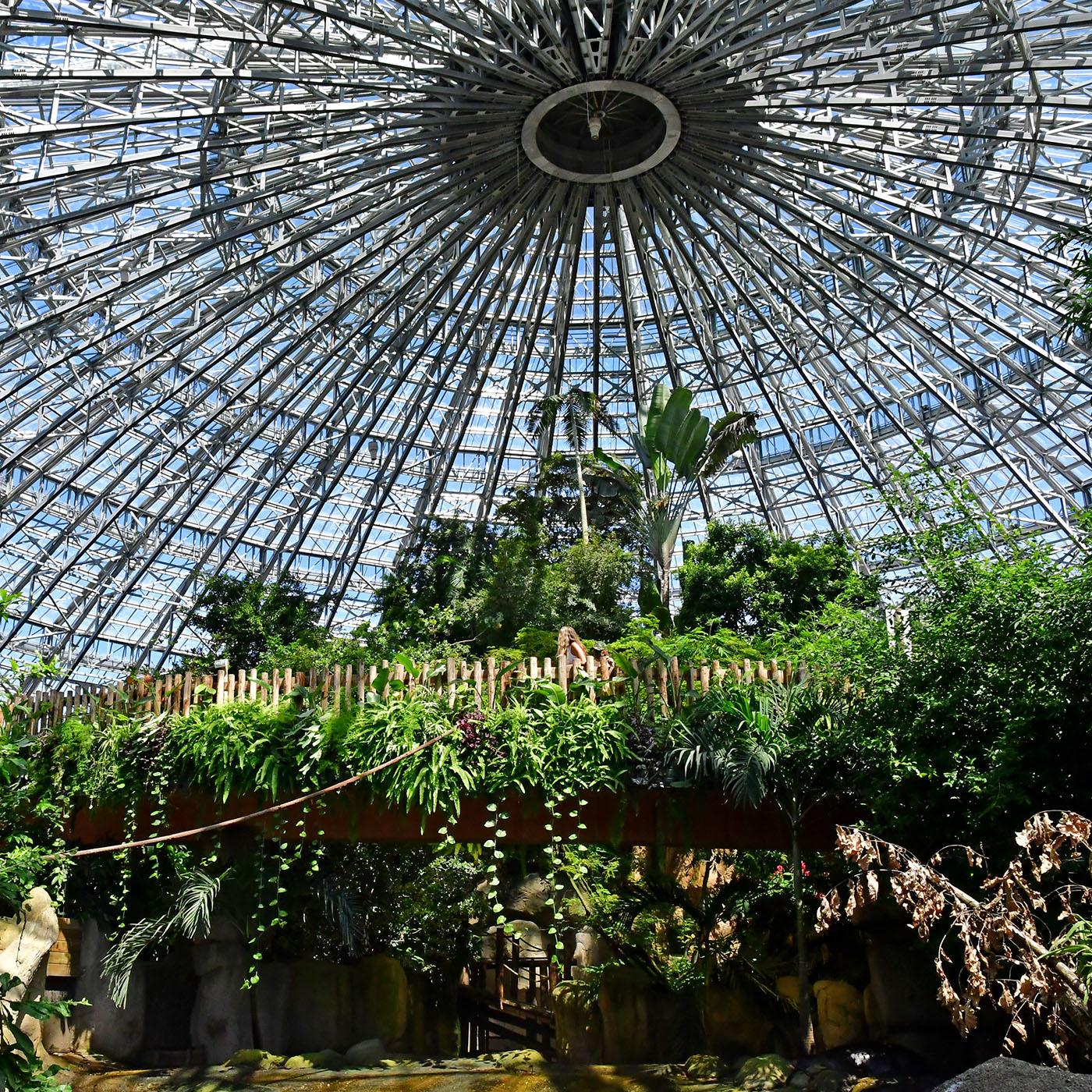 Zooparc de Beauval : au coeur de la machine