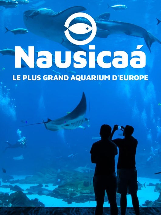 Nausicaa, le plus grand aquarium d'Europe