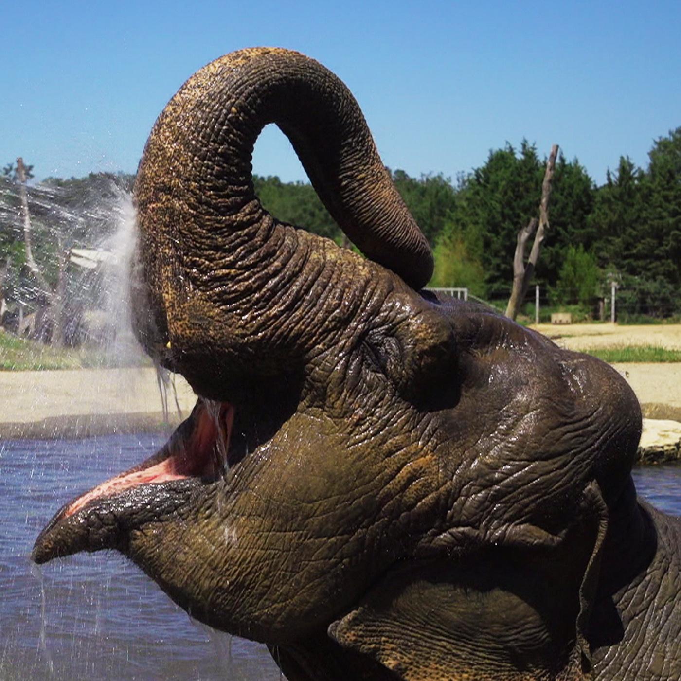 Le Pal : au coeur du zoo le plus insolite de France