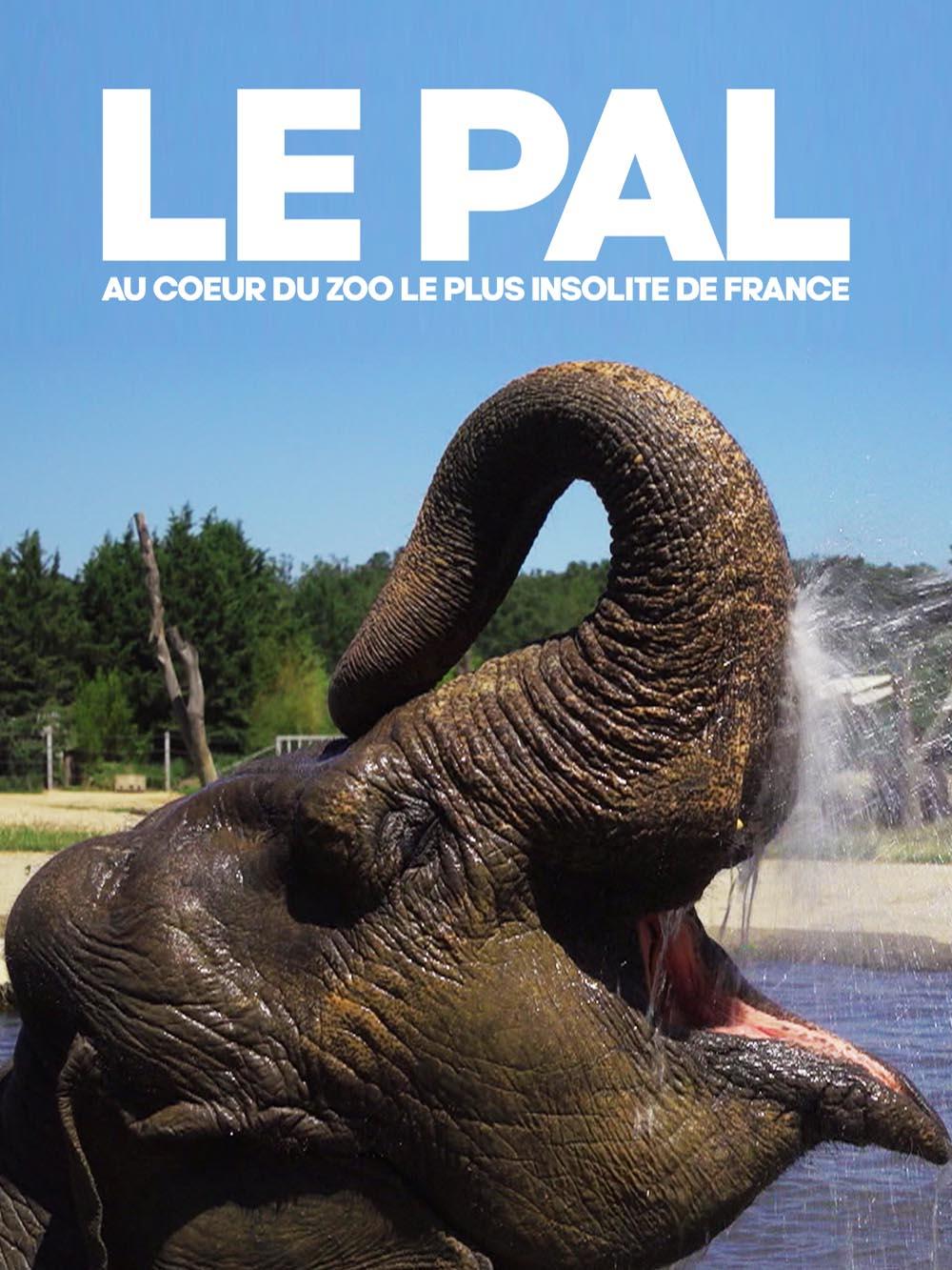 Le Pal : au coeur du zoo le plus insolite de France