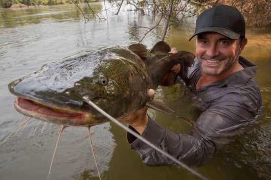 Bataille avec les thons géants