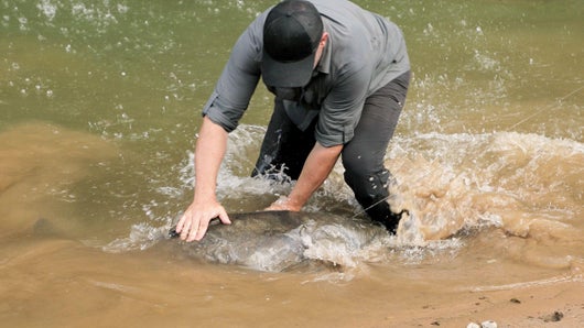 Cauchemar en jungle bolivienne 