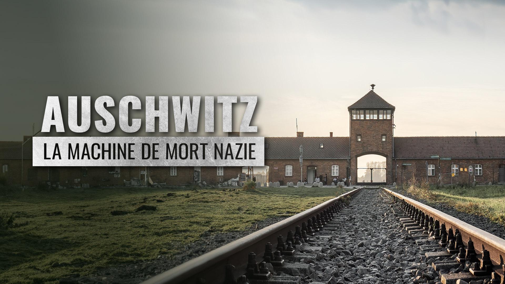 Auschwitz, la machine de mort nazie