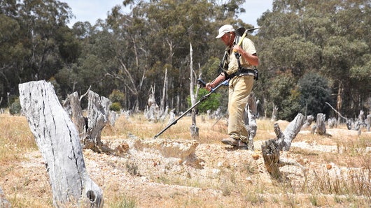 Chasse à l'or